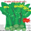 cai ngong tuyen cao san 20gr