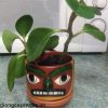 cay-truong-sinh