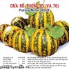 dua bo thom op 10gr