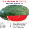 dua hau HMN F1 5gr