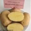 giong-khoai-tay-diamant