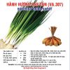 hanh huong cao san 10gr