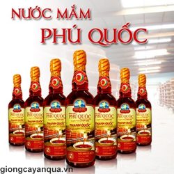 nuoc-mam-phu-quoc-2