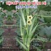 thumbnail_2_0d6ad6c730263a1608d237786f157389