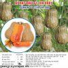 thumbnail_2_101725456d904c9178db5d1c75bedbf0