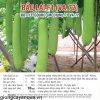thumbnail_2_59f0b4a2489a8ca1bbaa110e49a54539