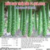 thumbnail_2_5e96b5307e143c9132f21a032909307c