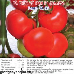 thumbnail_2_848c71836a4589e9b709e11c75935ede