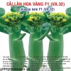 thumbnail_2_96f3fb71462bf56f5a9212f7d4b2d6da