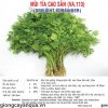thumbnail_2_9a4c1ea70077c46dd9ace03c40801230